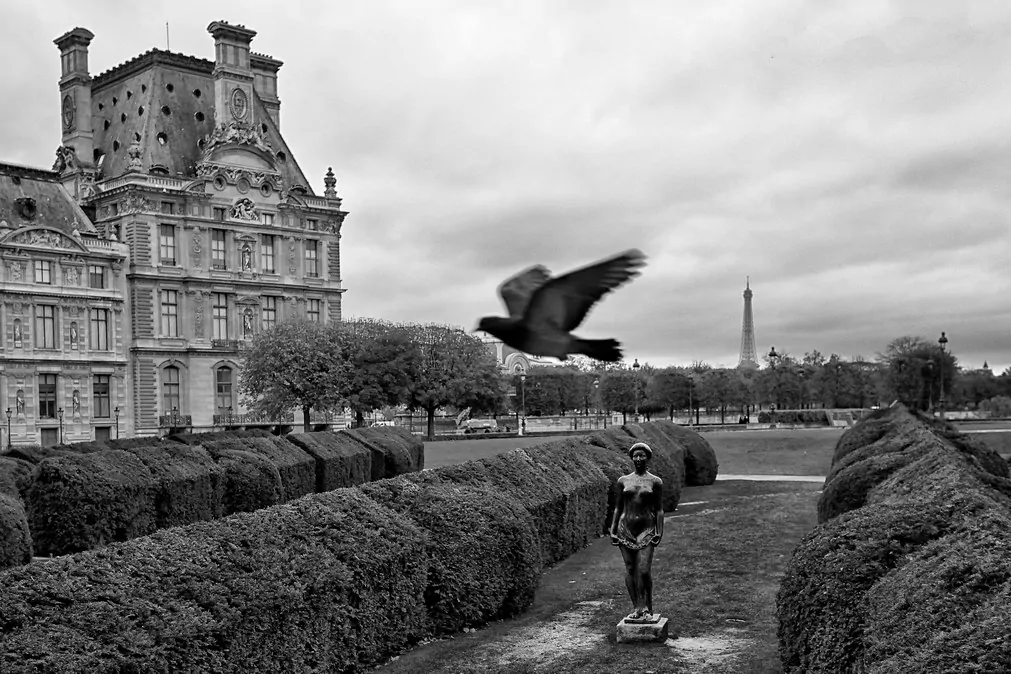 Začíná léto tak pár fotografií z ateliéru a tak vůbec 1 fotograf Pariz